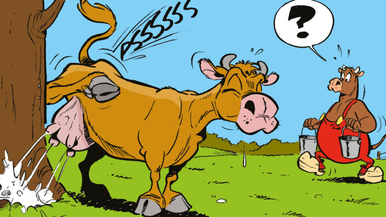 Ko markerar revir. Tkjur bär på mjölk.